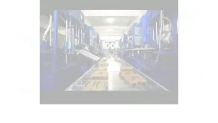 Bronze Red Brass Reducer Pipe Fitting